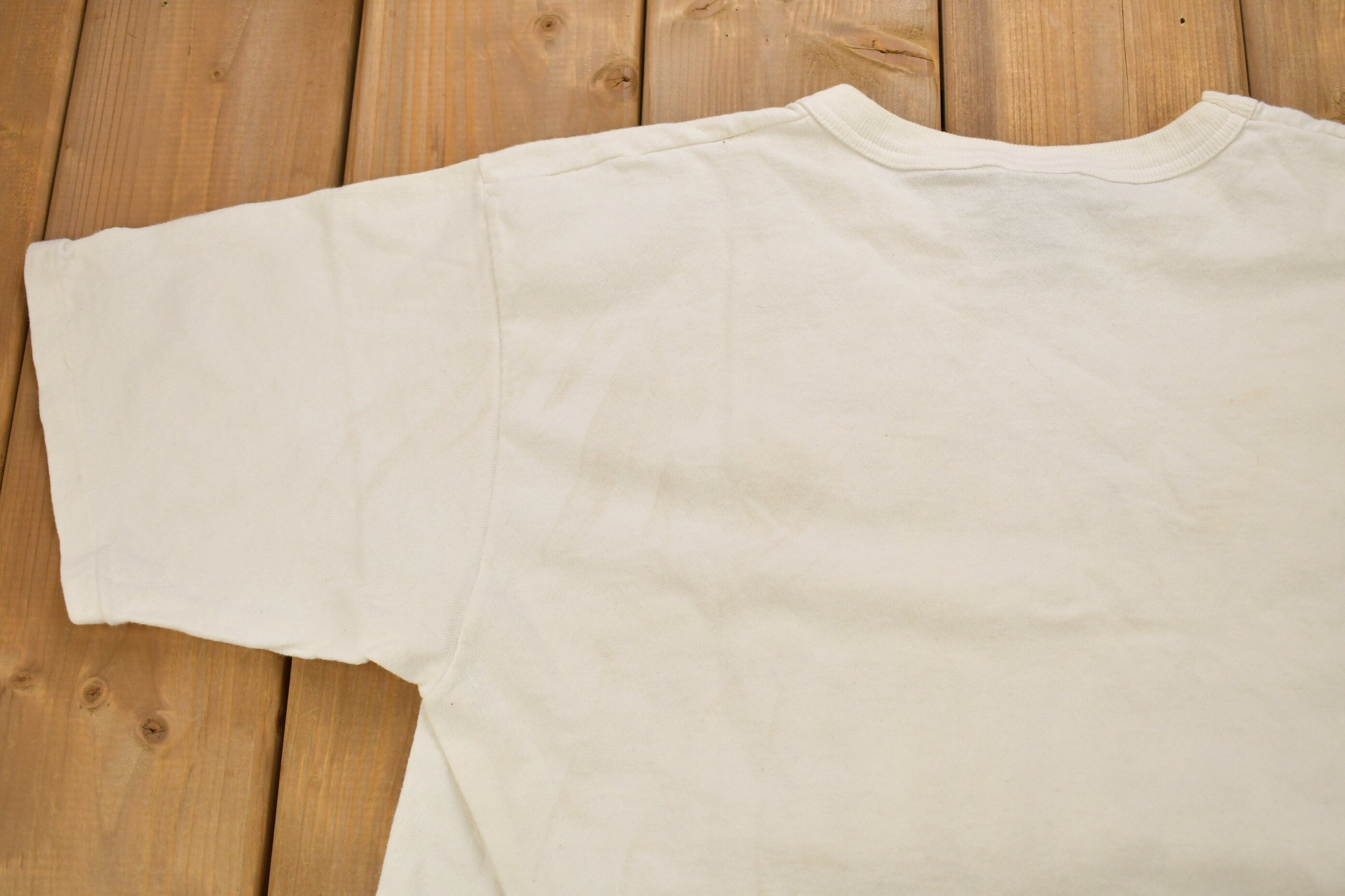 Vintage 1990s Boardman Pride Collegiate Crop Top Champion T-Shirt