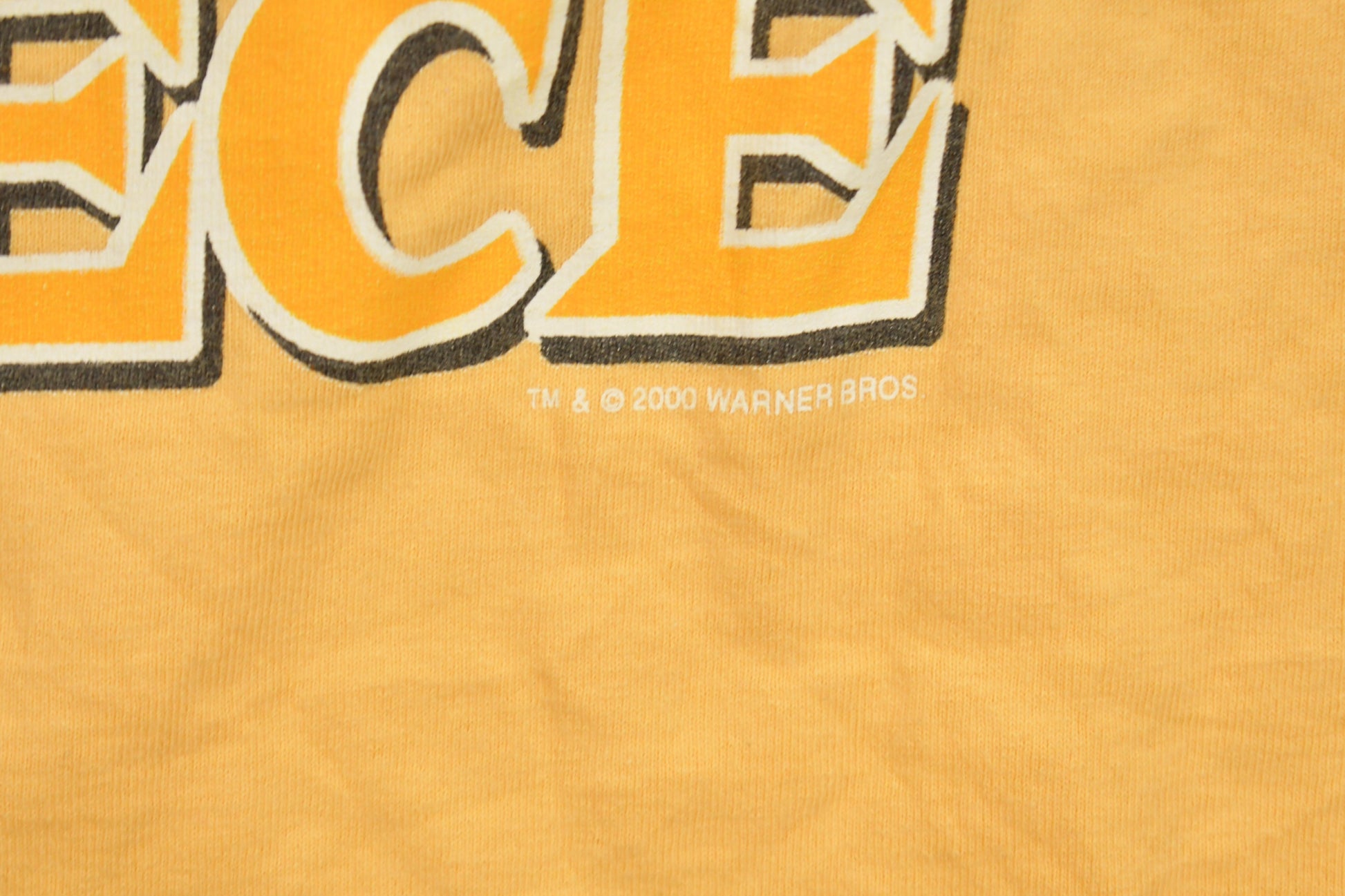 Vintage 2000 Tweety Bird Chicago Police Cartoon T-Shirt