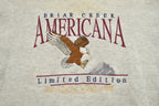 Vintage 1990s Briar Creek Americana Souvenir Crewneck Sweatshirt