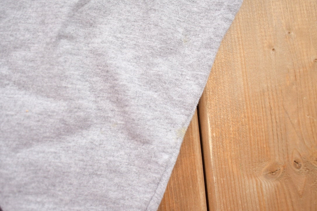Vintage 1990s Champion Blank Grey Crewneck Sweatshirt