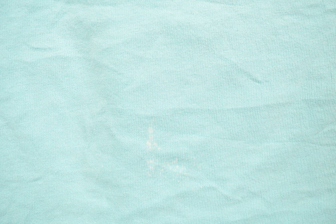 Vintage 1990s Blue Genes Embarrass Wisconsin Souvenir T Shirt