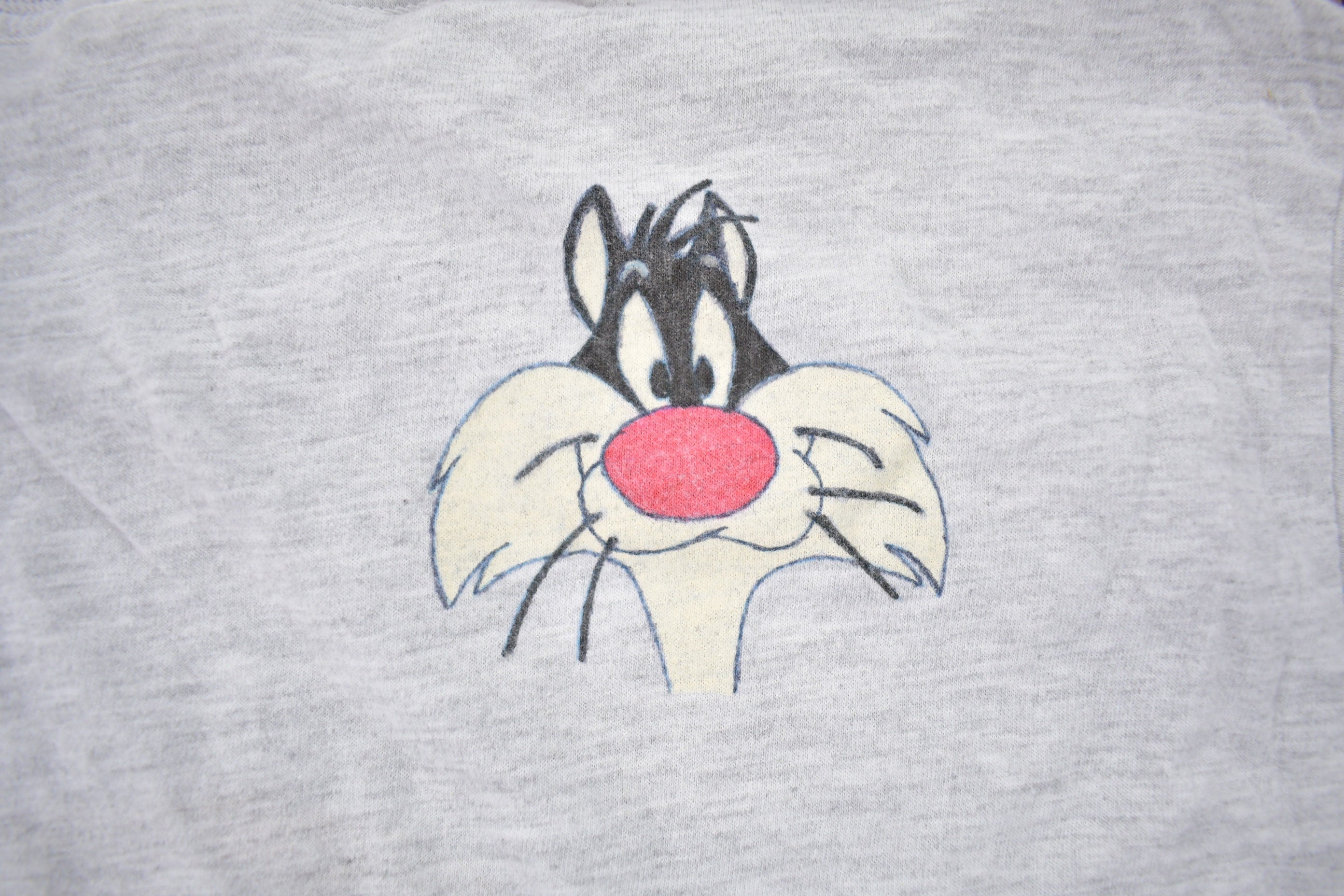 Vintage 1990s Tweety Bird Sylvester T-Shirt  90s Graphic Tee  Warner Bros  Jerzees  Cartoonist  Vintage Looney Tunes
