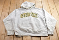 Vintage 1990s Oswego University Of New York State Collegiate Hoodie