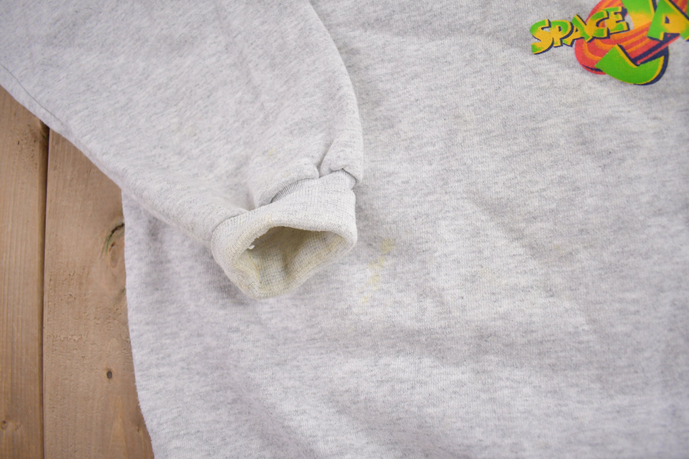 Vintage 1996 Space Jam Athletic Champion Sweatshirt