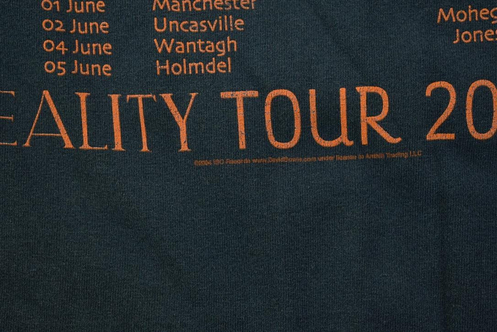 Vintage 2003 David Bowie Reality Tour Band Shirt