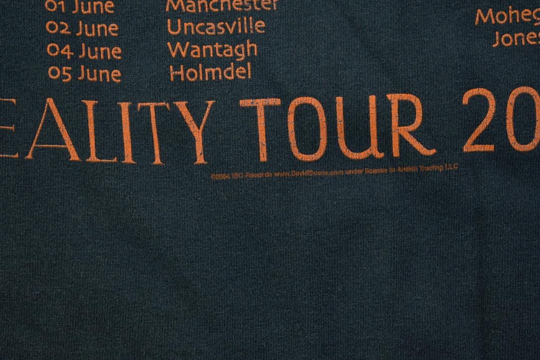 Vintage 2003 David Bowie Reality Tour Band Shirt