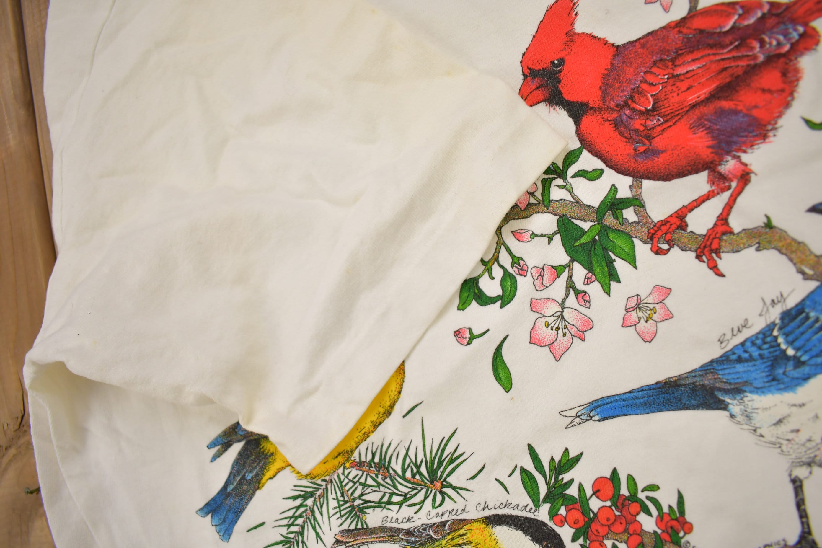 Vintage 1990s Carter Caves State Resort Bird Theme Graphic Women's T-Shirt