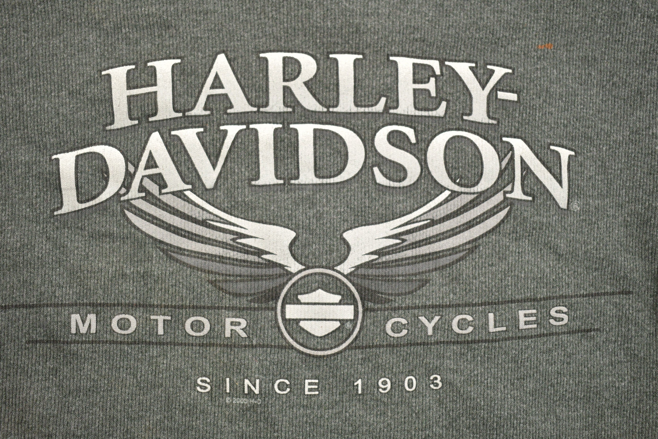 Vintage 2000s Harley Davidson Of Beaver Falls Pennsylvania T-Shirt