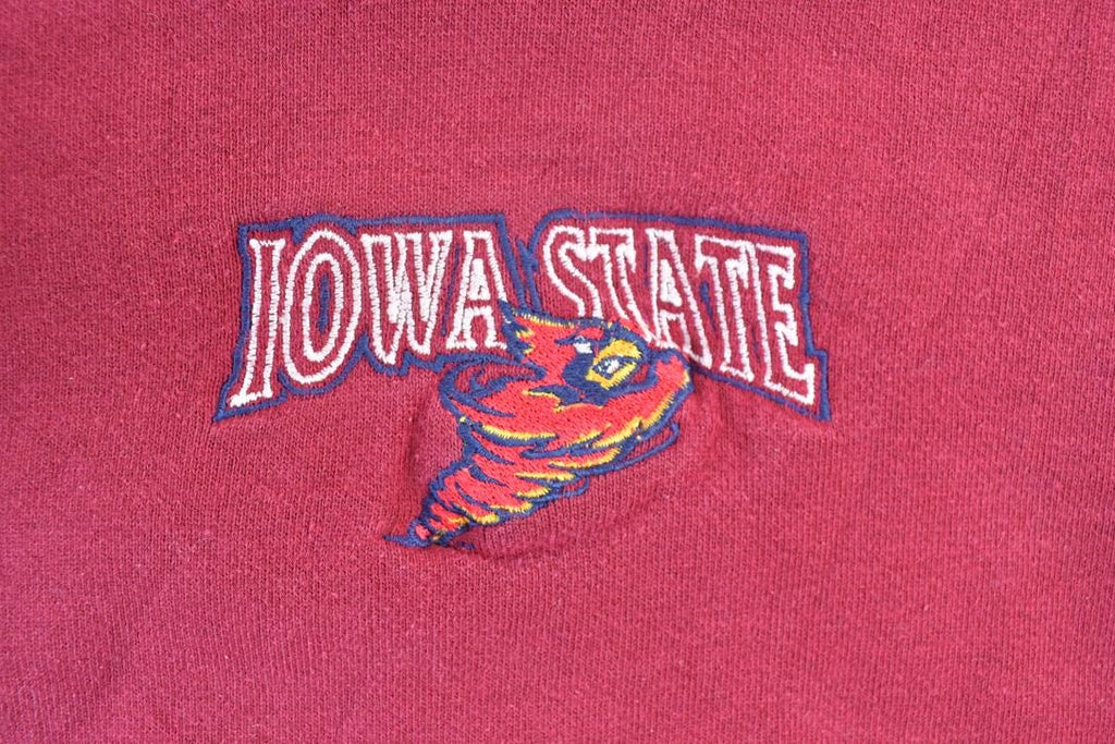 Vintage 1990s Galt Sand Iowa State University Collegiate Crewneck