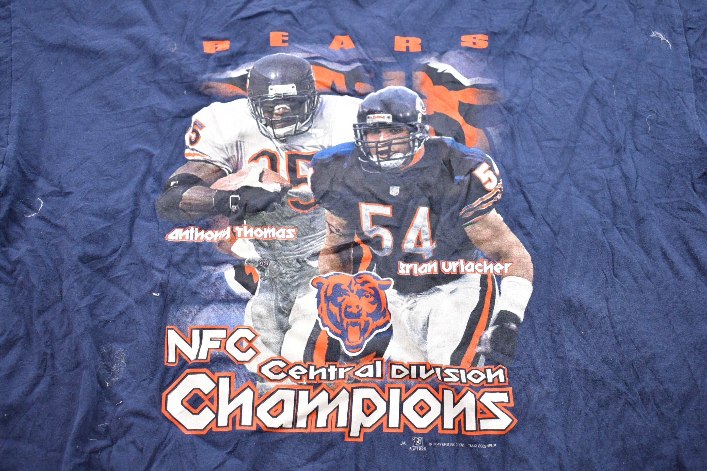 Vintage 2002 Cleveland Bears NFL NFC Champions Graphic T-Shirt