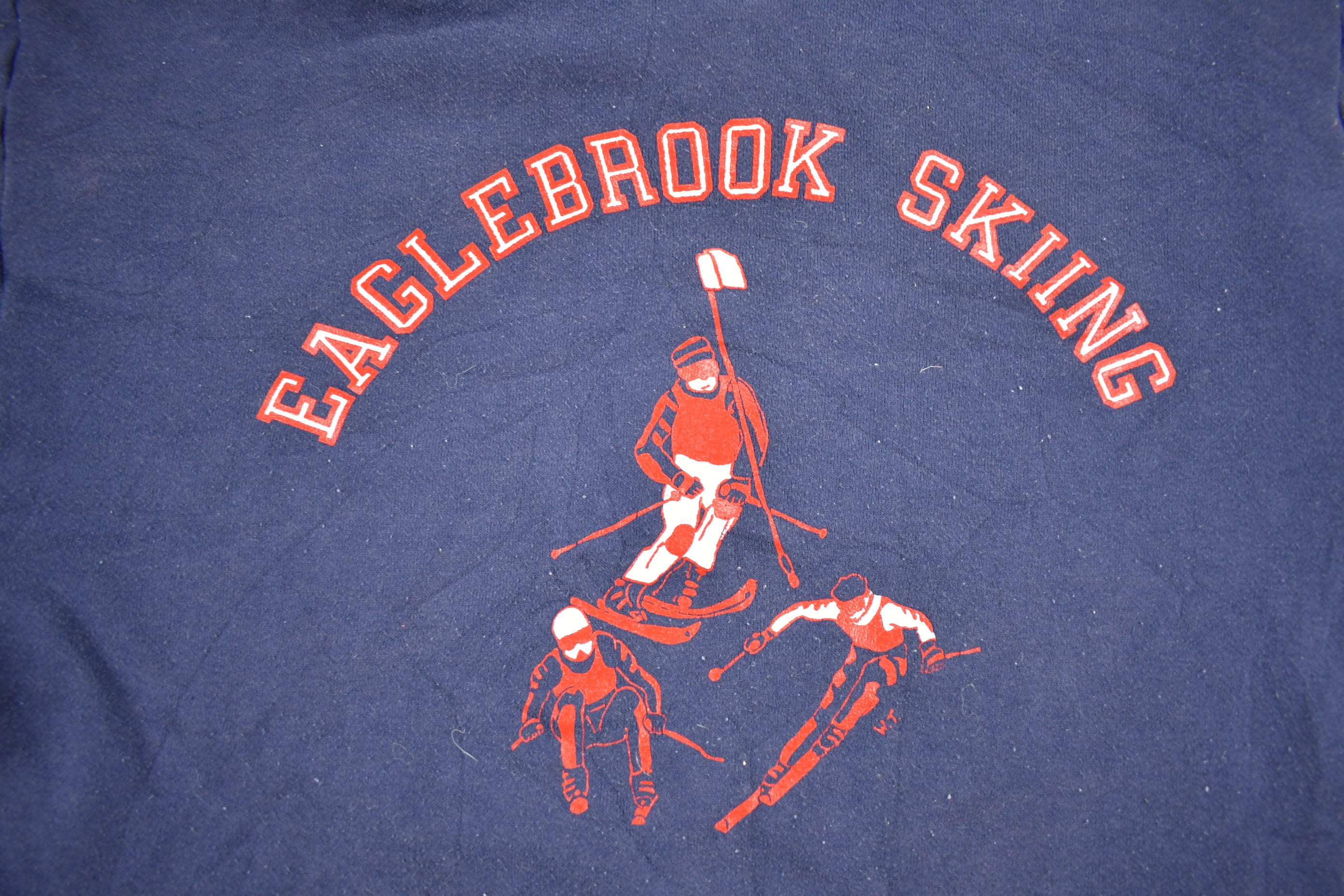 Vintage 1990s Eagle Brook Skiing Graphic Hoodie  90s Hoodie  Vintage Hoodie  Ski Sweater