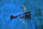 Vintage 1990s Genoa Bay Designs Outdoors T-Shirt