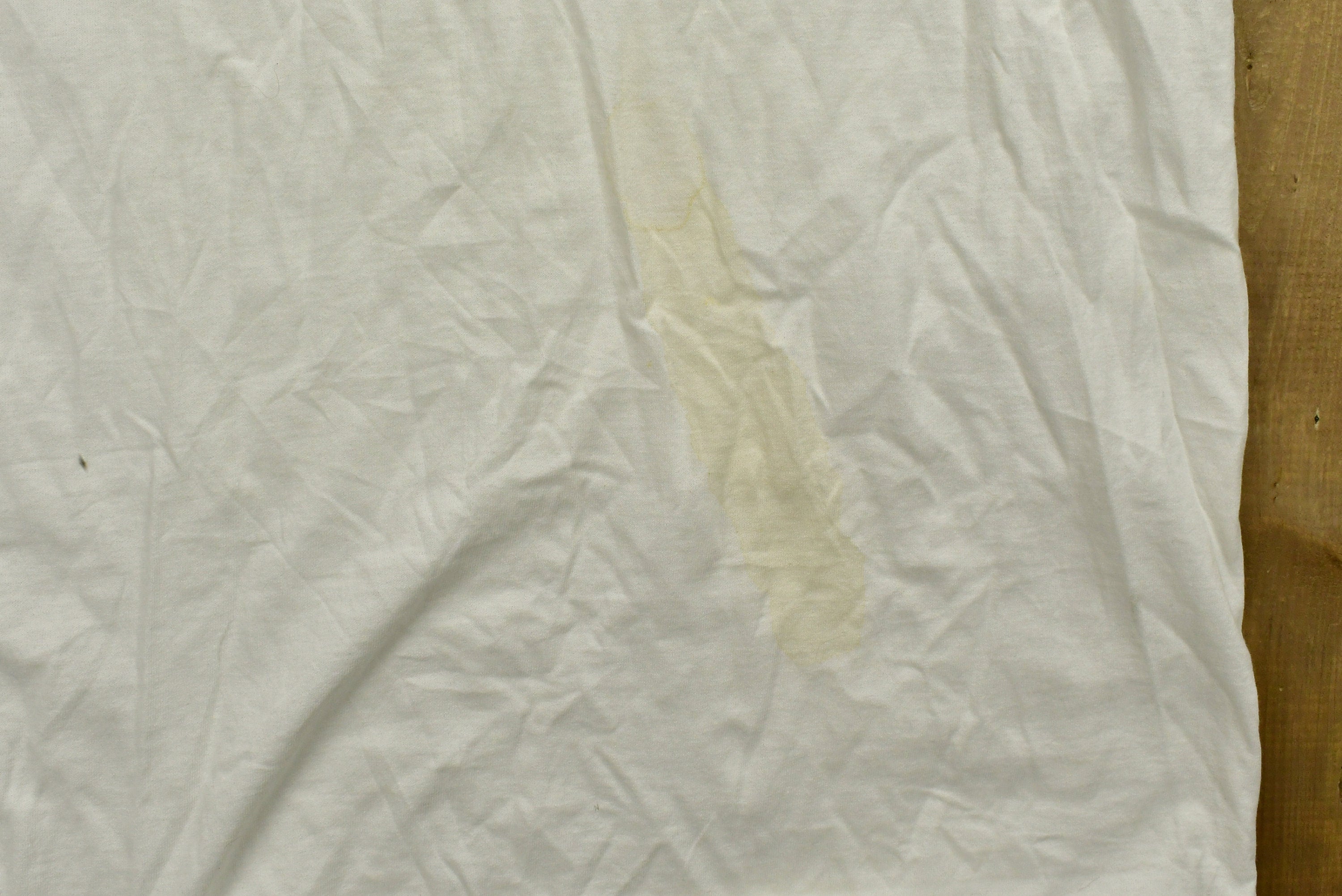 Vintage 1999 Bob Dylan Band T-shirt