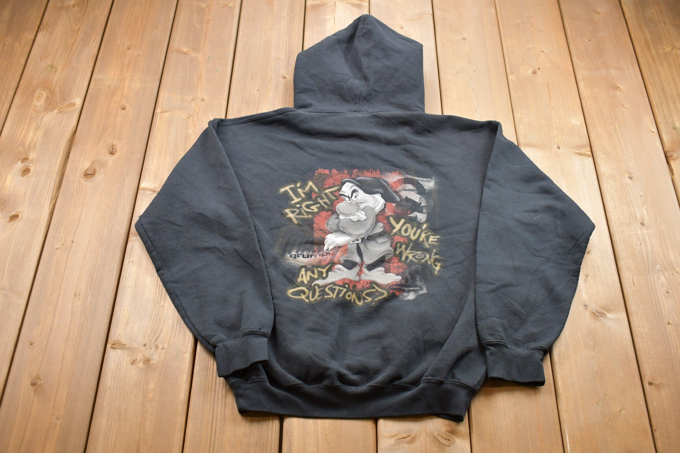 Vintage 1990s Disneyland Resort Grumpi Graphic Hoodie