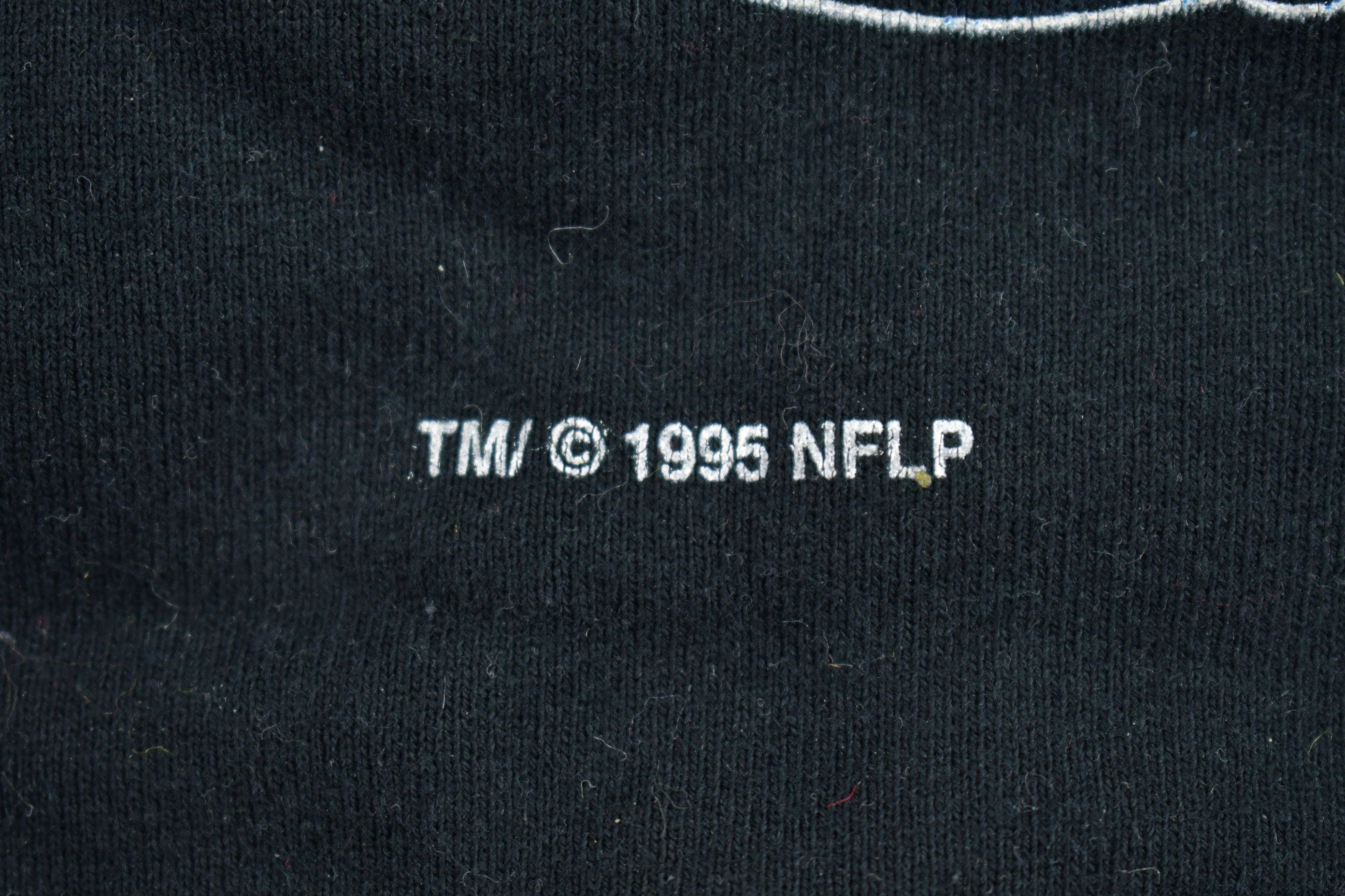 Vintage 1995 Pittsburgh Steelers AFC Champions Crewneck Sweatshirt