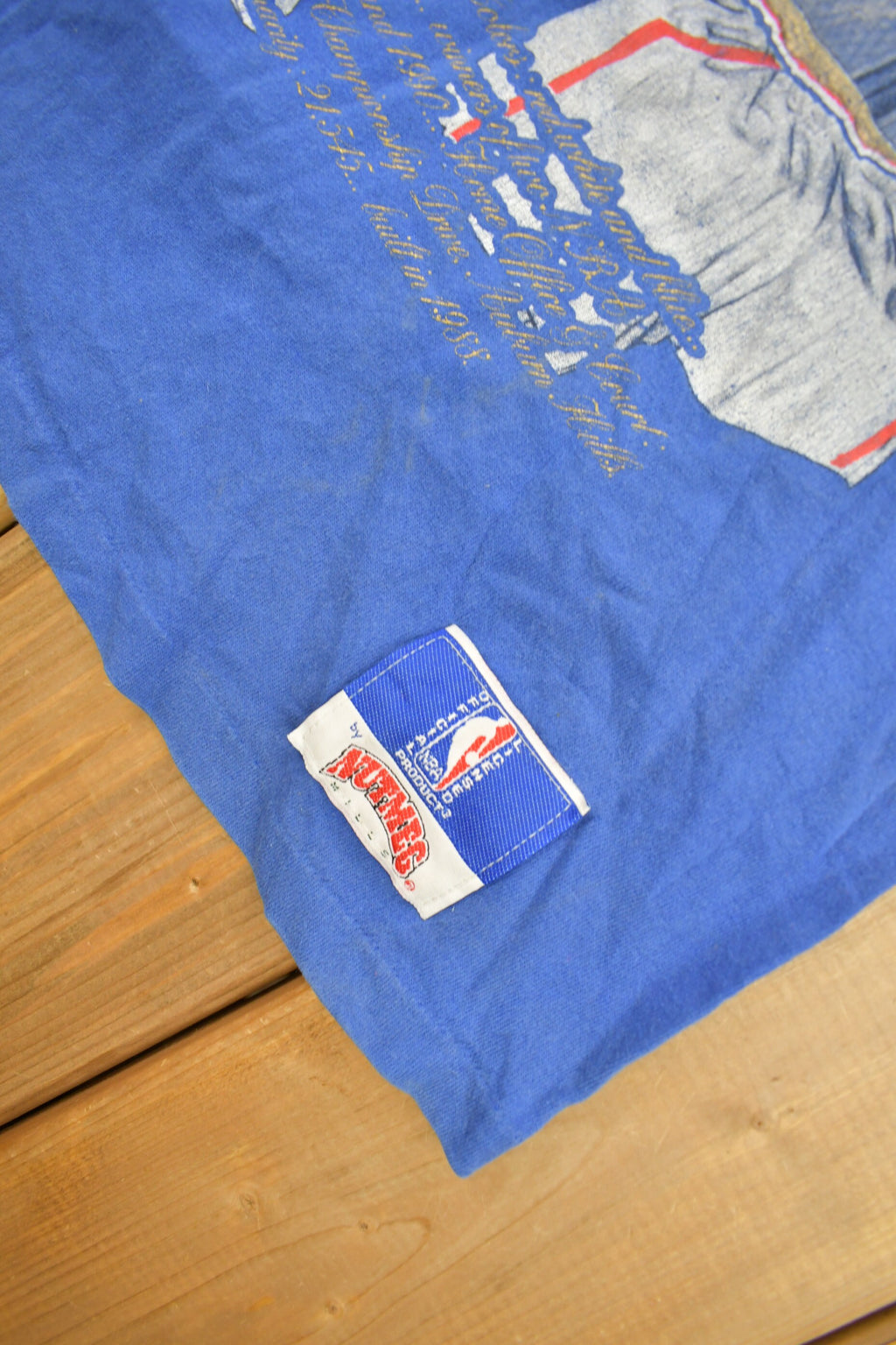 Vintage 1990s Detroit Pistons NBA Embroidered Graphic T-Shirt  Made In USA  Single Stitch  NBA Basketball  Nutmeg Sportswear