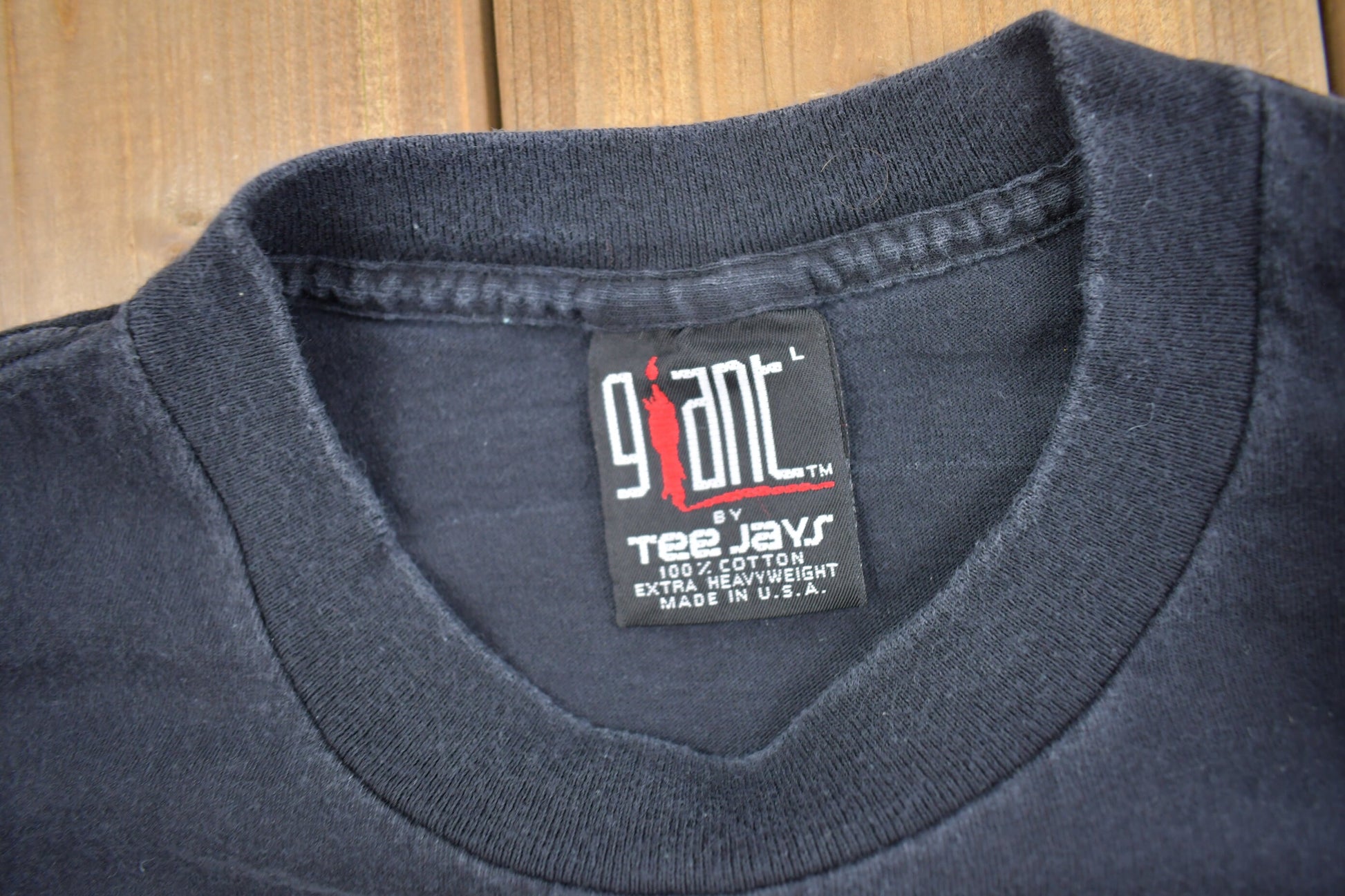 Vintage 1995 Queensrÿche Promised Land Tour Band T-shirt