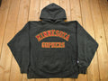 Vintage 1990s University Of Minnesota Gophers Collegiate Champion Reverse Weave Hoodie  Embroidered  NCAA Sweatshirt  Sportswear