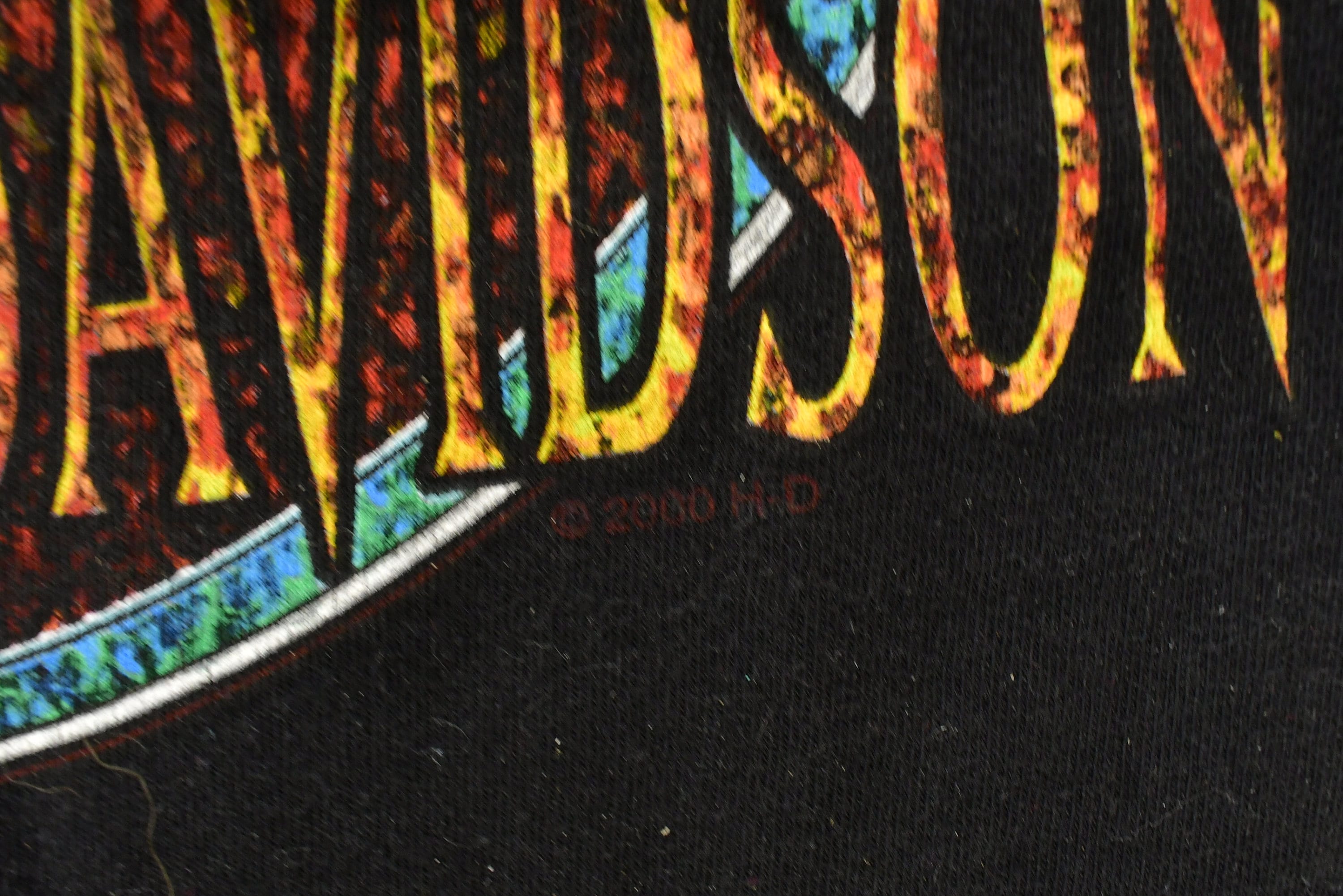 Vintage 2000 Harley Davidson Motorcycles Skull T-Shirt
