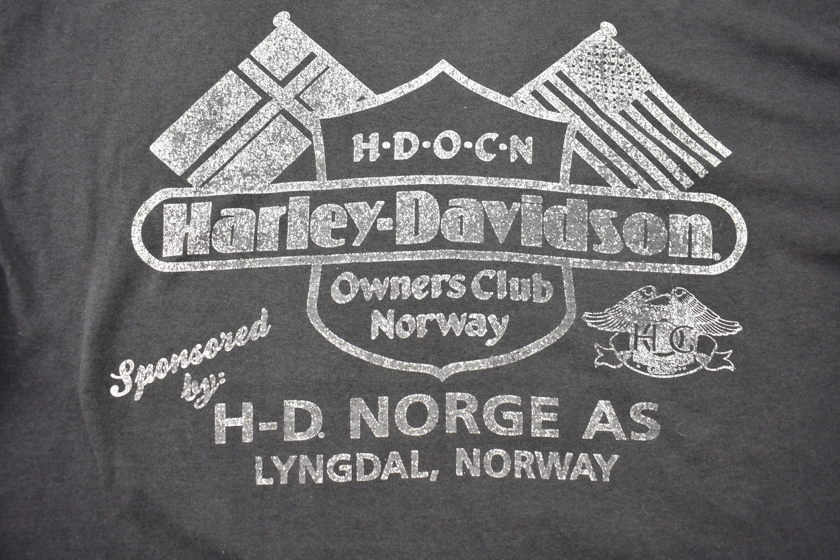Vintage 1991 Hunderfossen Norway Super Rally Harley Davidson T-Shirt