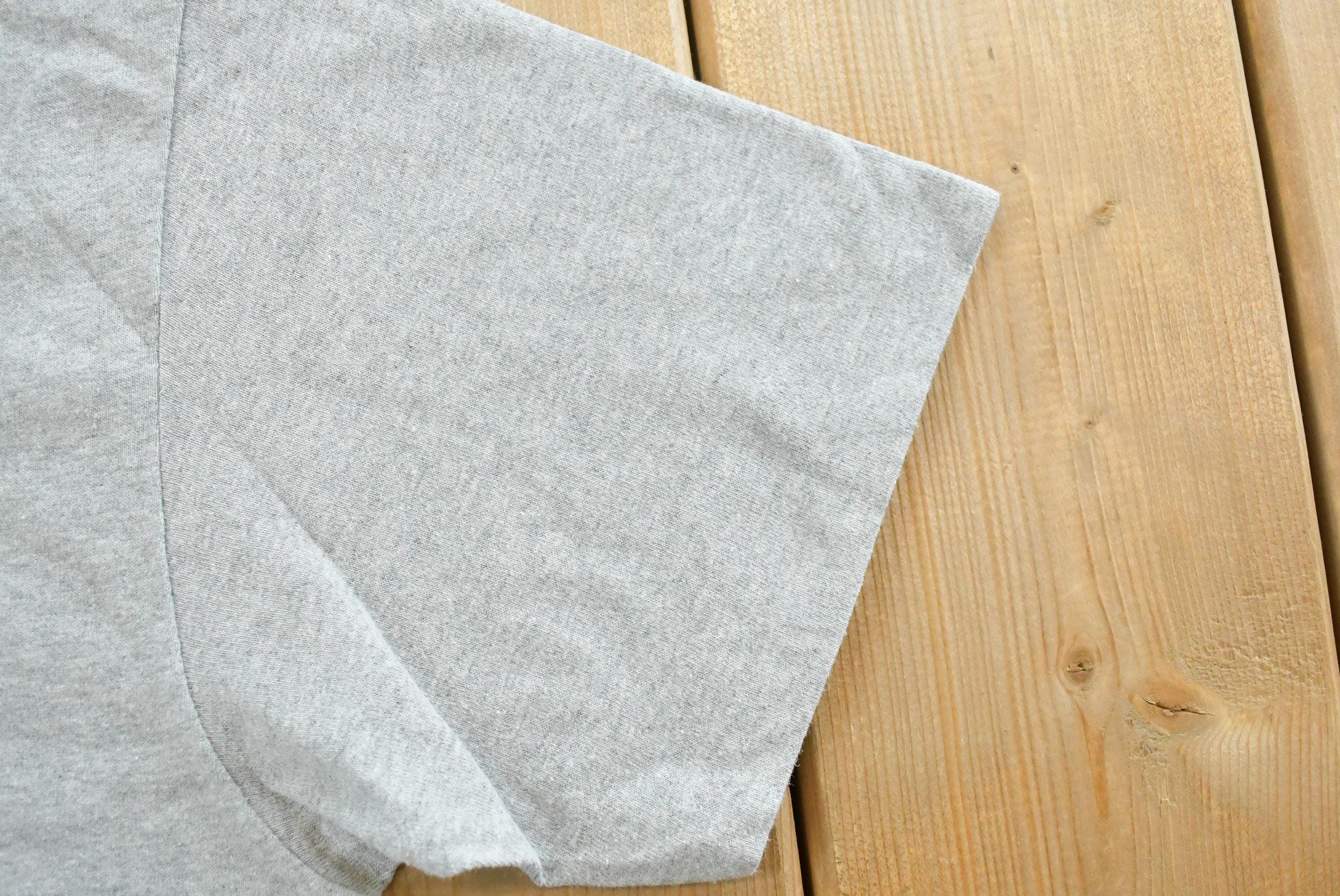 Vintage 1990s Hanes Blank T-Shirt Men's M