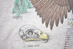 Vintage 1990s North American Bald Eagle Crewneck