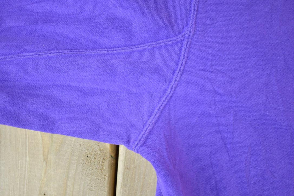 Vintage 1990s Minnesota Vikings NFL Hoodie Hooded Sweatshirt
