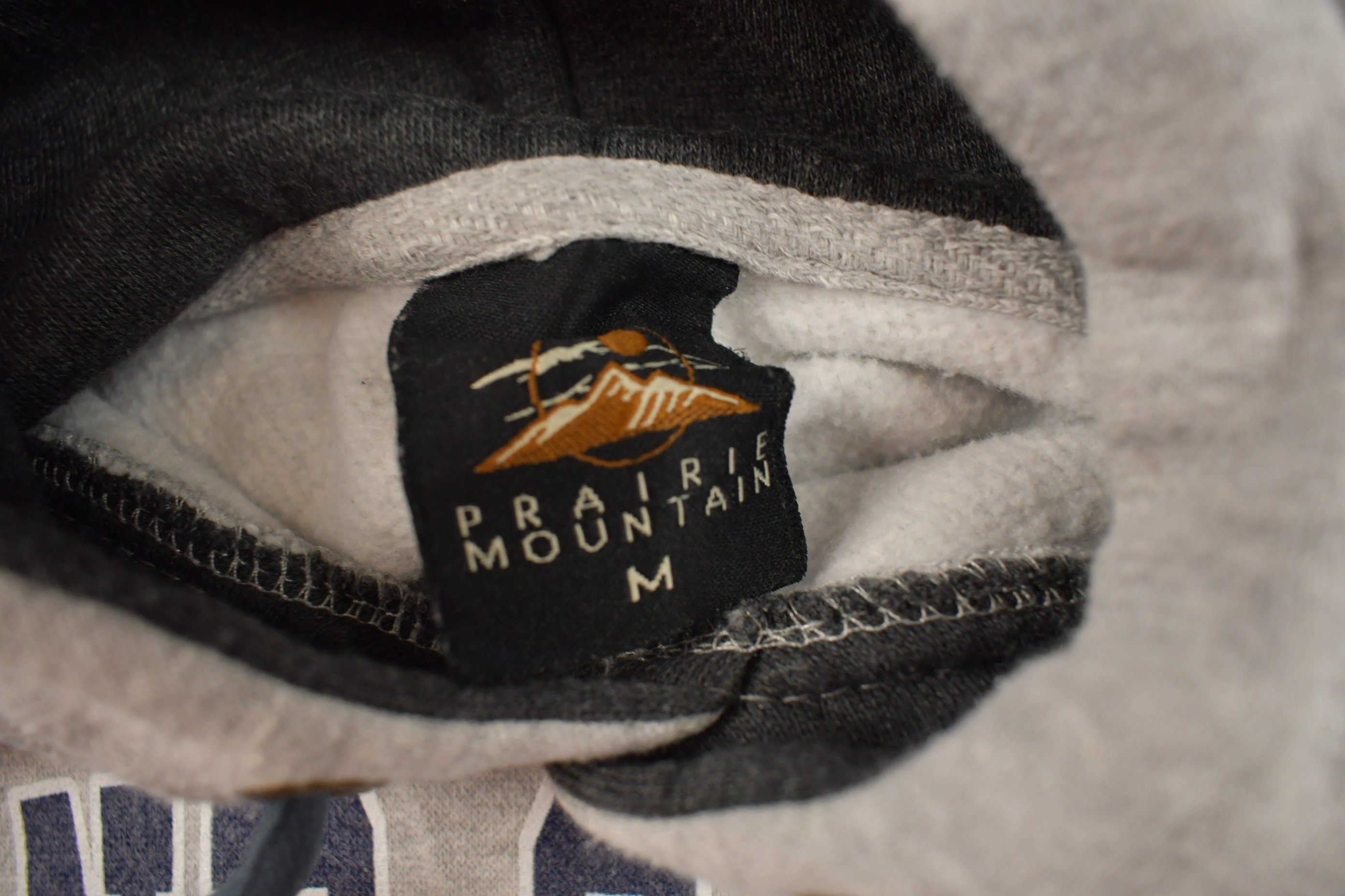 Vintage 1990s Grand Canyon National Park Travel Graphic Hoodie