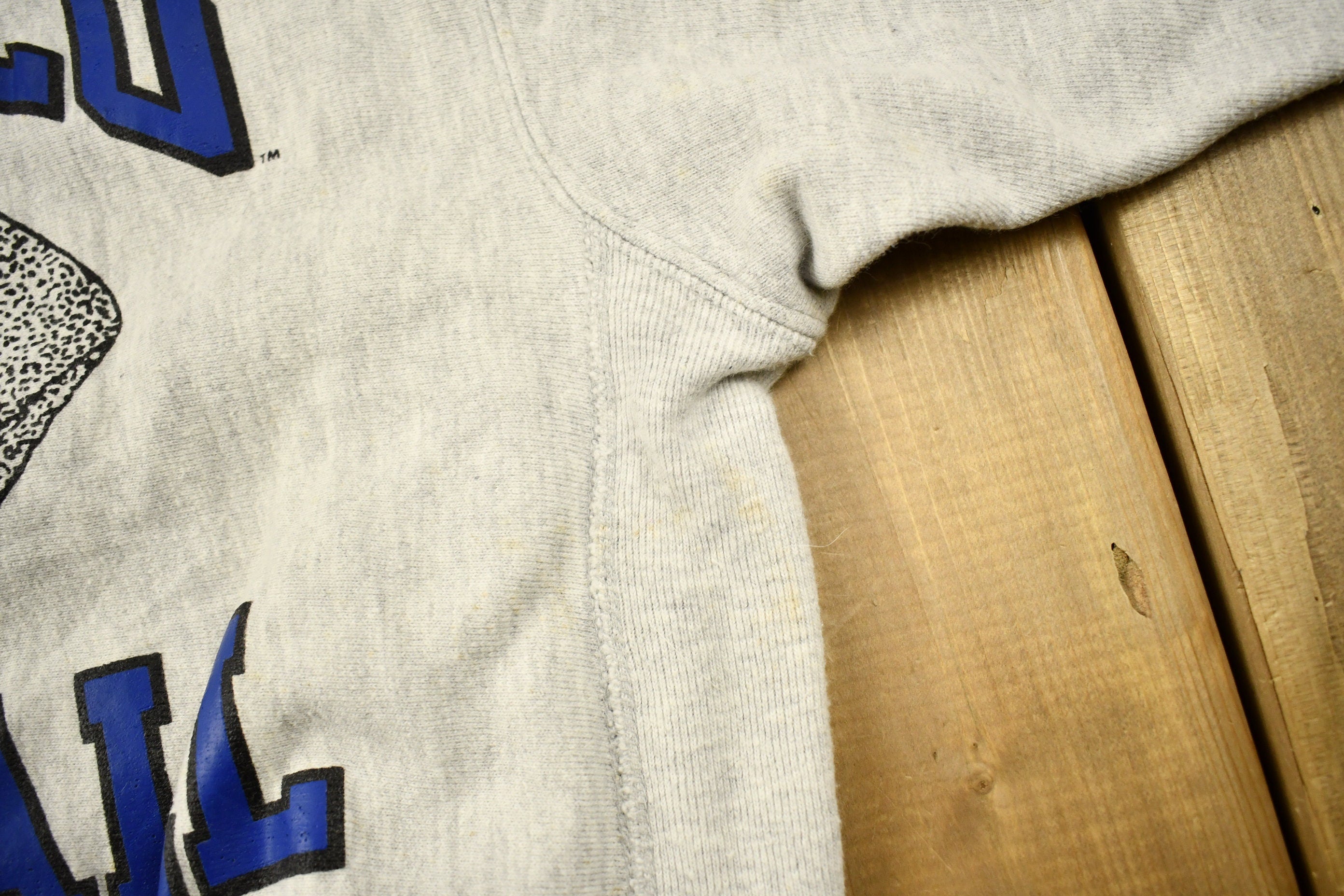 Vintage 1990s University of Buffalo Bulls Champion Reverse Weave Collegiate Crewneck
