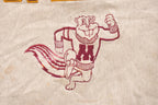 Vintage 1990s Minnesota Gophers University Collegiate Crewneck Sweatshirt Men's Large / Embroidered / NCAA Sweatshirt / Sleeve Spellout
