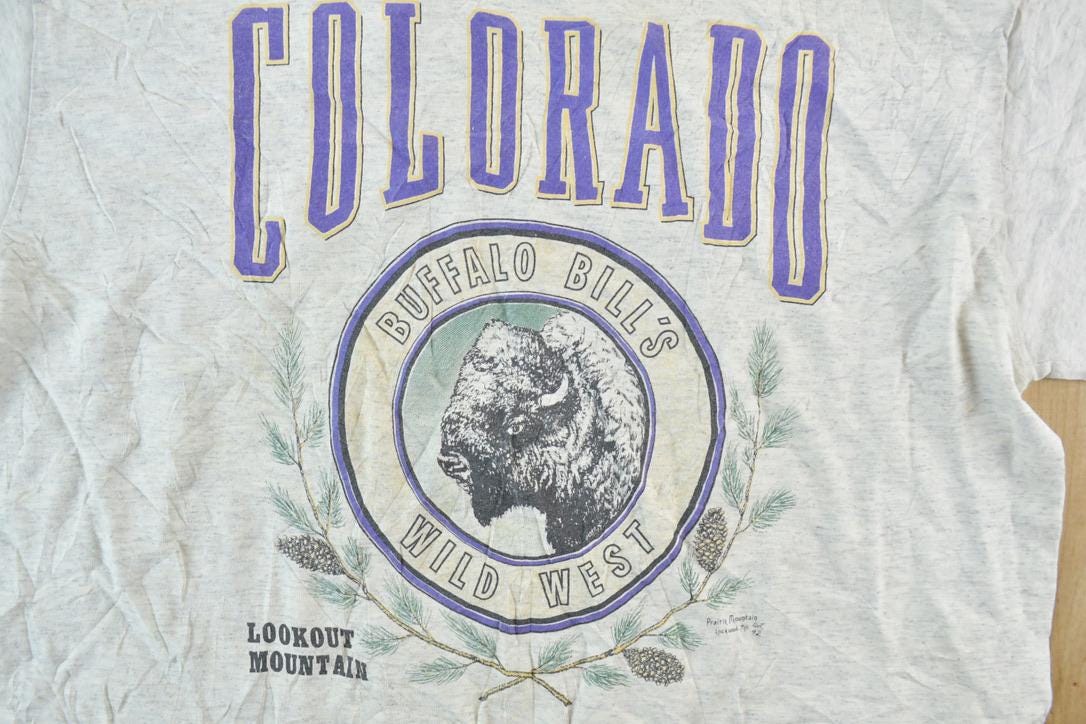Vintage 1990s Colorado Buffalo Bills Double Sleeve Outdoors T-Shirt