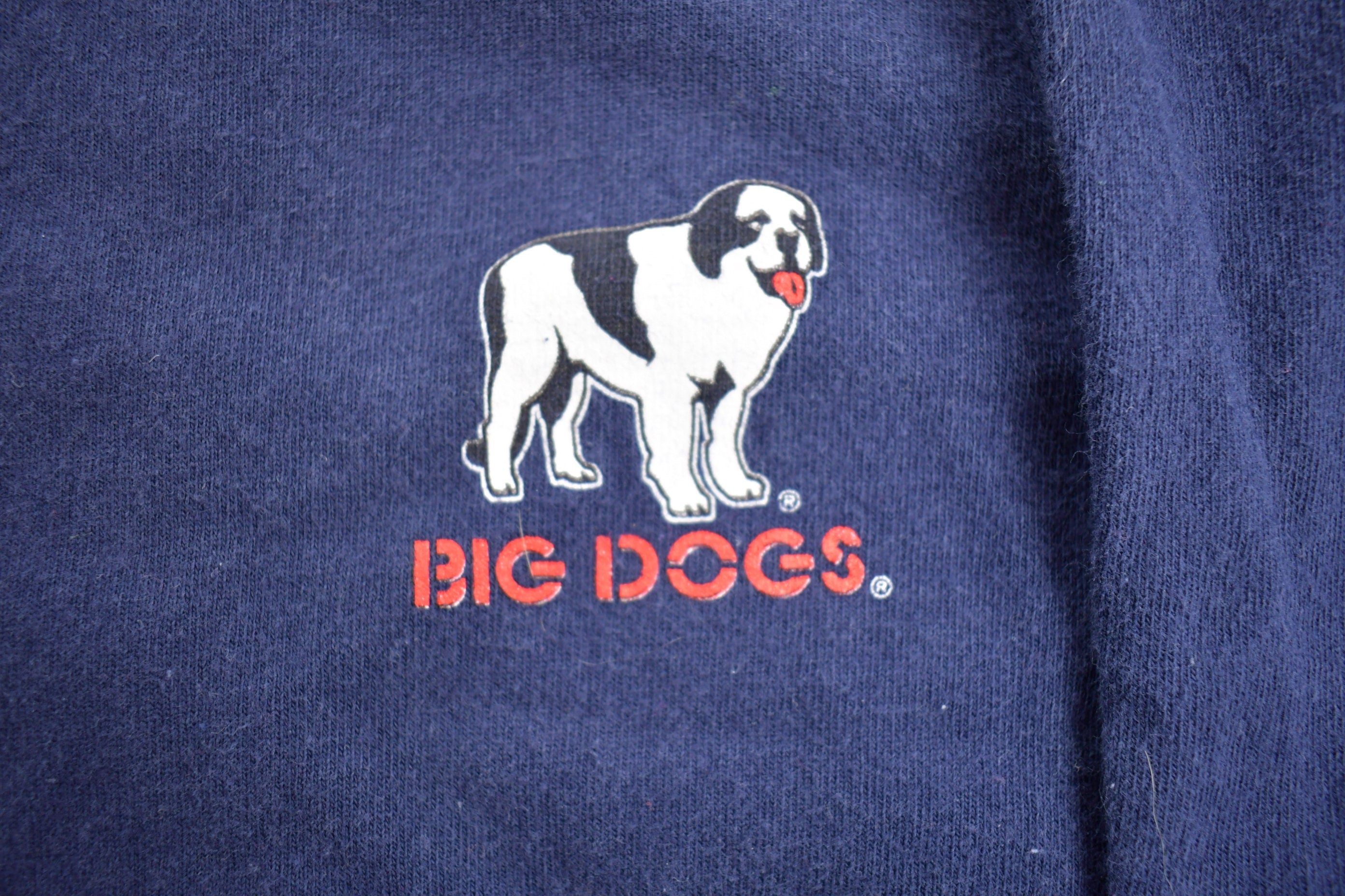 Vintage 1990s Big Dogs 'Why Beer Is Better Than Women' Graphic T-Shirt