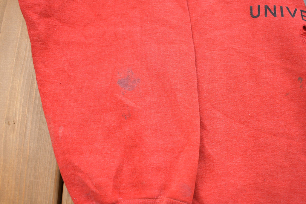 Vintage 1990s University of Wisconsin Badgers Graphic Collegiate Crewneck
