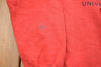 Vintage 1990s University of Wisconsin Badgers Graphic Collegiate Crewneck