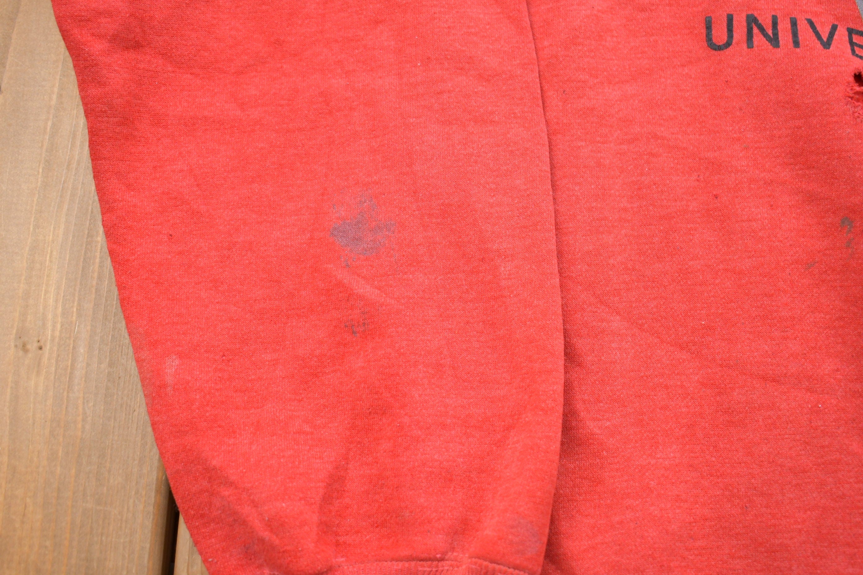 Vintage 1990s University of Wisconsin Badgers Graphic Collegiate Crewneck