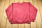 Vintage 1995 Tasmanian Devil Raglan Sleeve Looney Tunes Crewneck