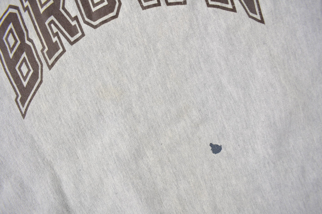 Vintage 1990s Brown University Champion Reverse Weave Crewneck