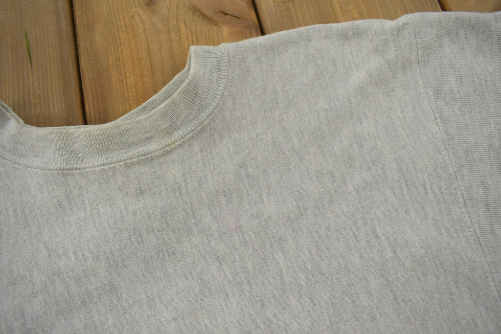 Vintage 1990s Randolph Macon College Collegiate Champion Reverse Weave Crewneck