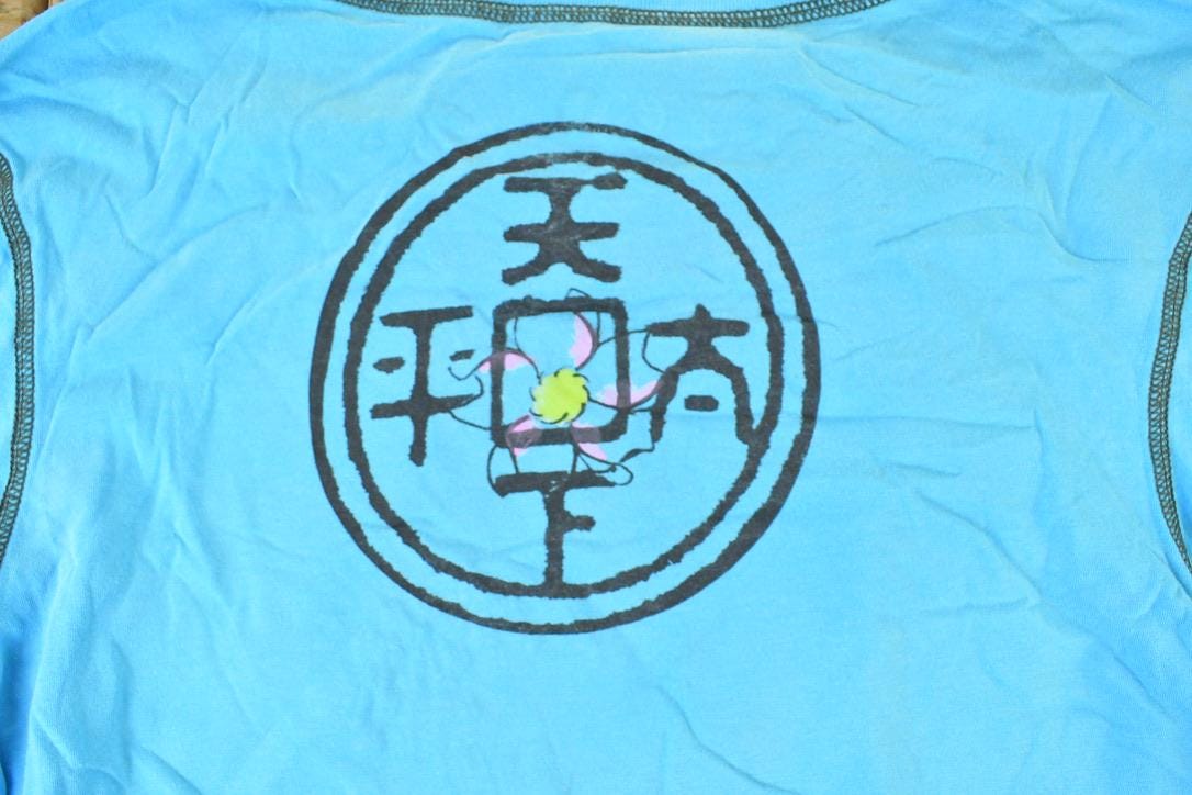 Women Vintage Vigoss Y2K Koi Fish T-Shirt / Vigoss Grunge Skull Print / Contrast Stitch / Internet Famous Clothing / Over Dyed