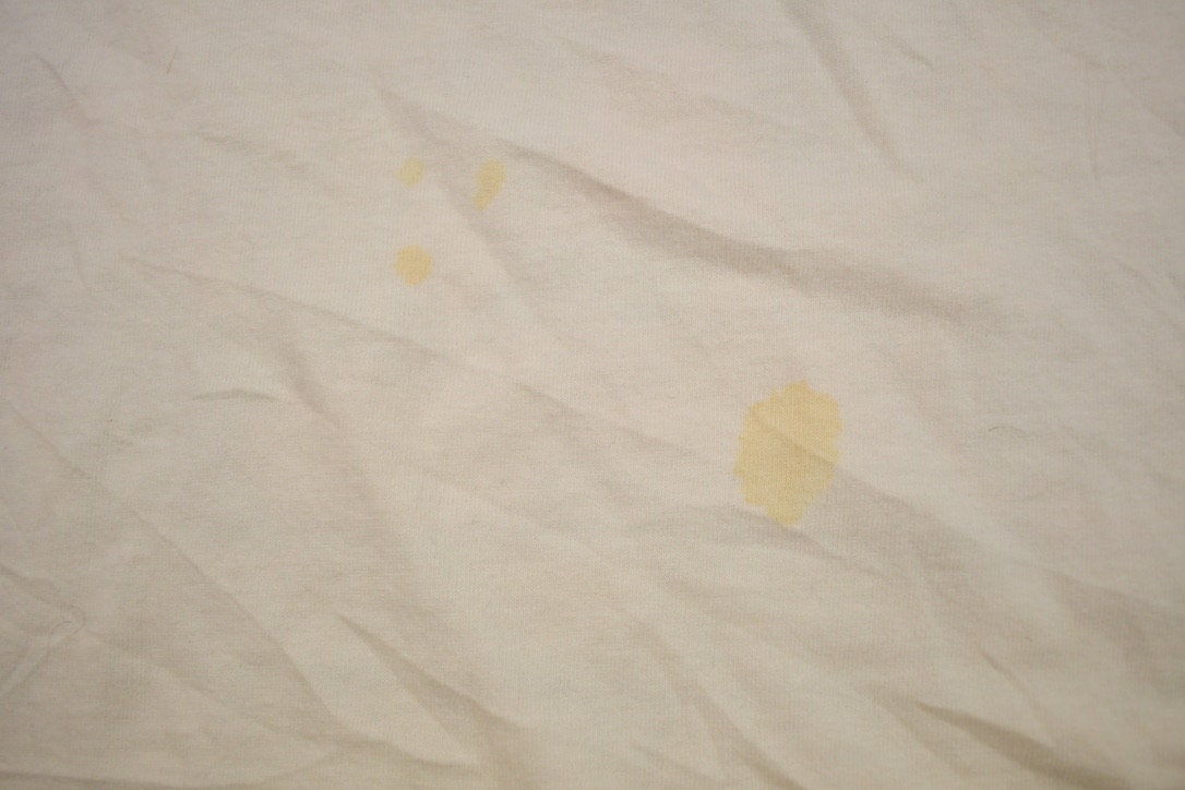 Vintage 1990s Disney World Orlando Graphic T Shirt