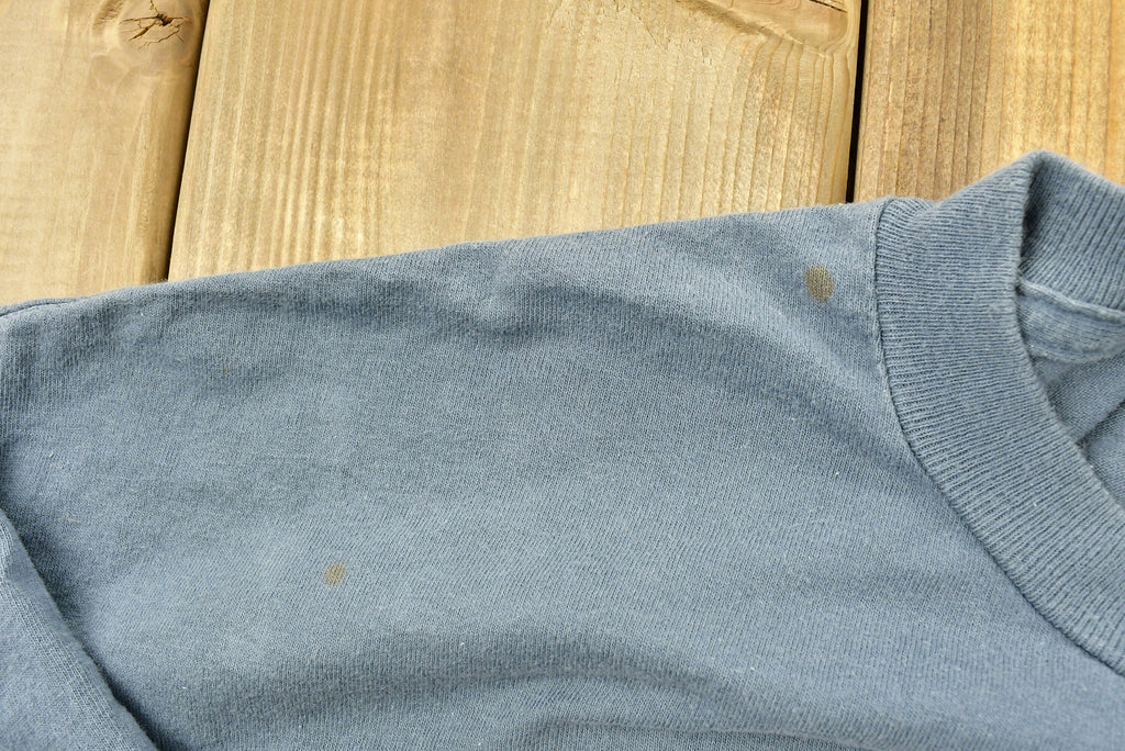 Vintage 1999 Cher Do You Believe Tour Band T-shirt