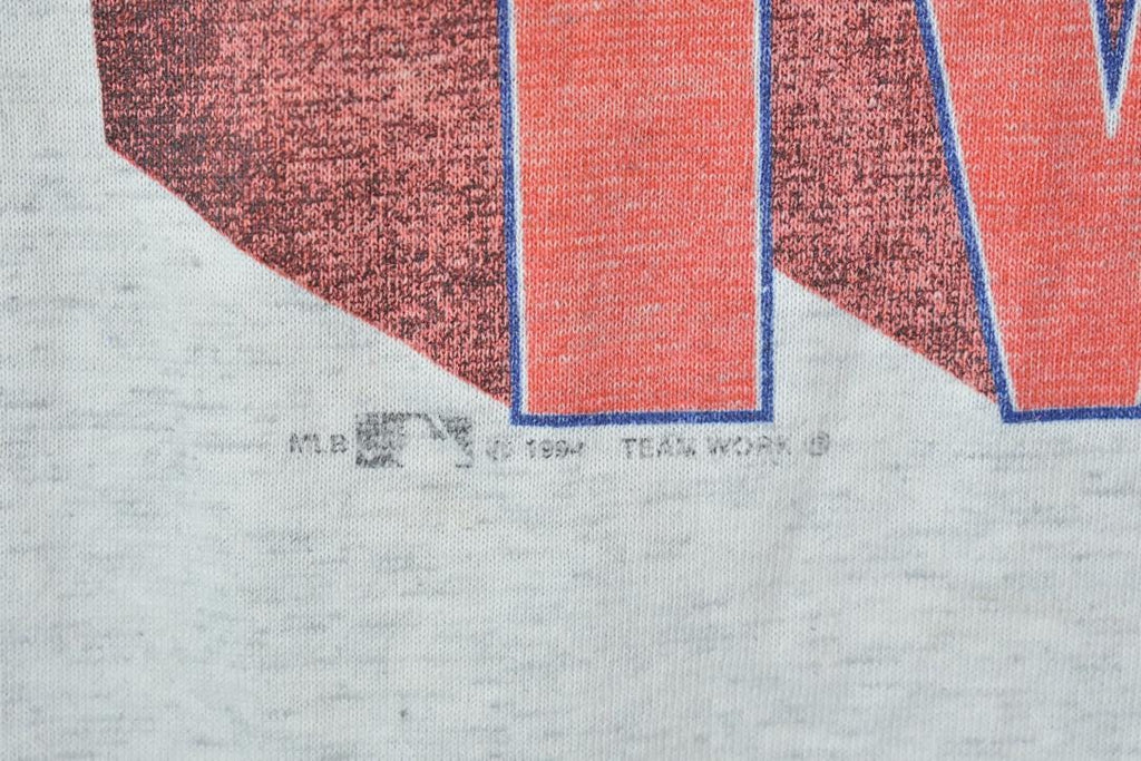 Vintage 1994 Minnesota Twins MLB World Champions Graphic T-Shirt