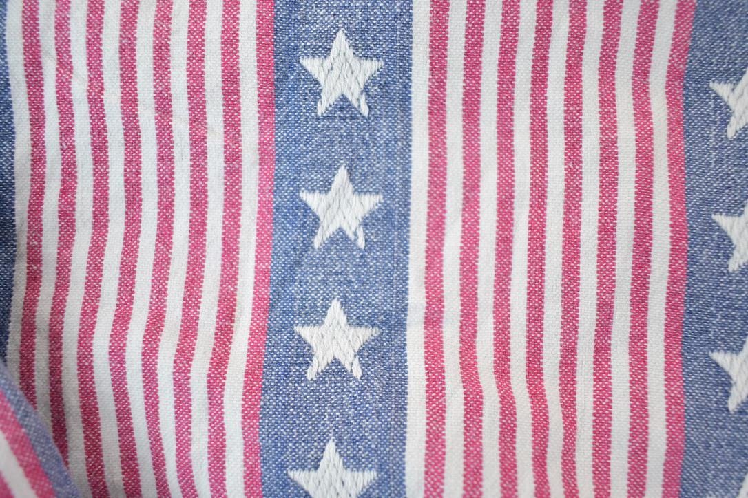 Vintage 1990s Lemon Grass All Over Print American Flag Button Up Shirt / 1990s Button Up / Vintage Flannel / Basic Button Up