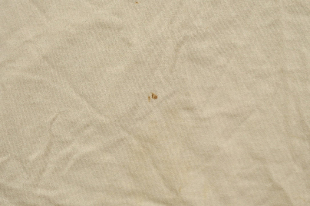 Vintage 1999 Rideau Lakes Cycle Tour T Shirt