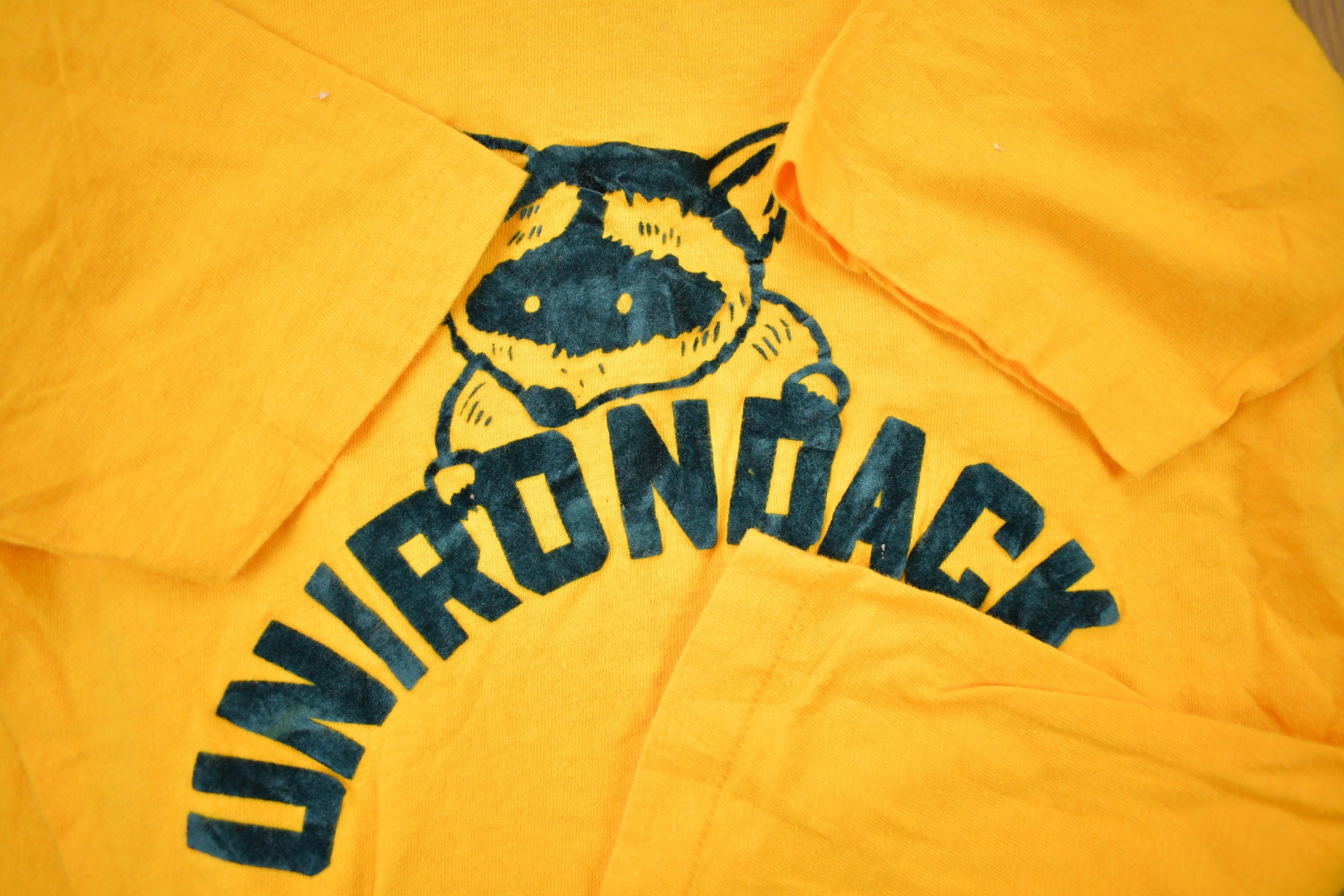 Vintage 1970s Camp Unirondack Graphic Champion T Shirt