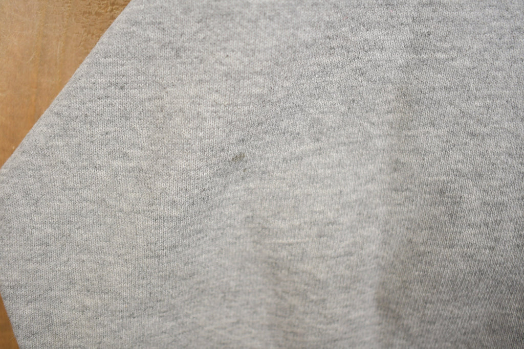 Vintage 1990s Sandusky Blue Streaks Collegiate Crewneck