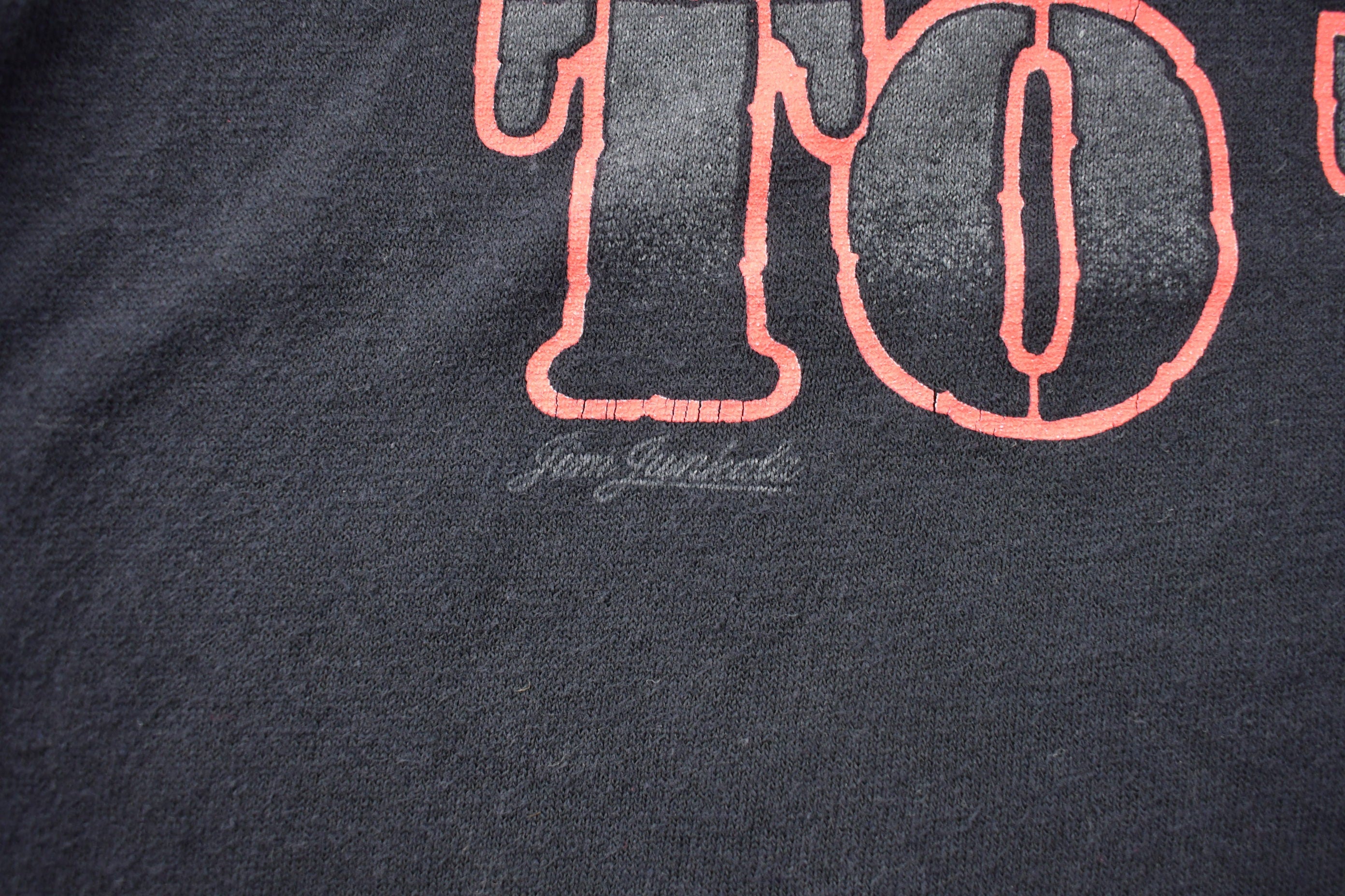 Vintage 1990s Harley Davidson A View to Thrill Graphic T-Shirt