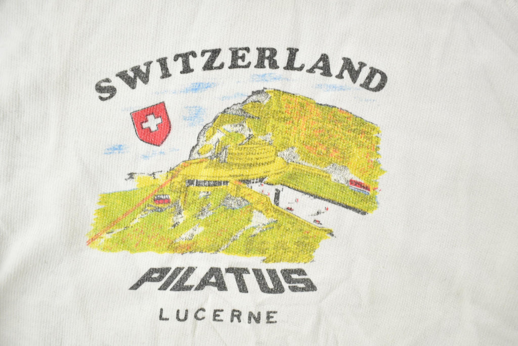 Vintage 1990s Switzerland Pilatus Lucerne Crewneck Sweatshirt