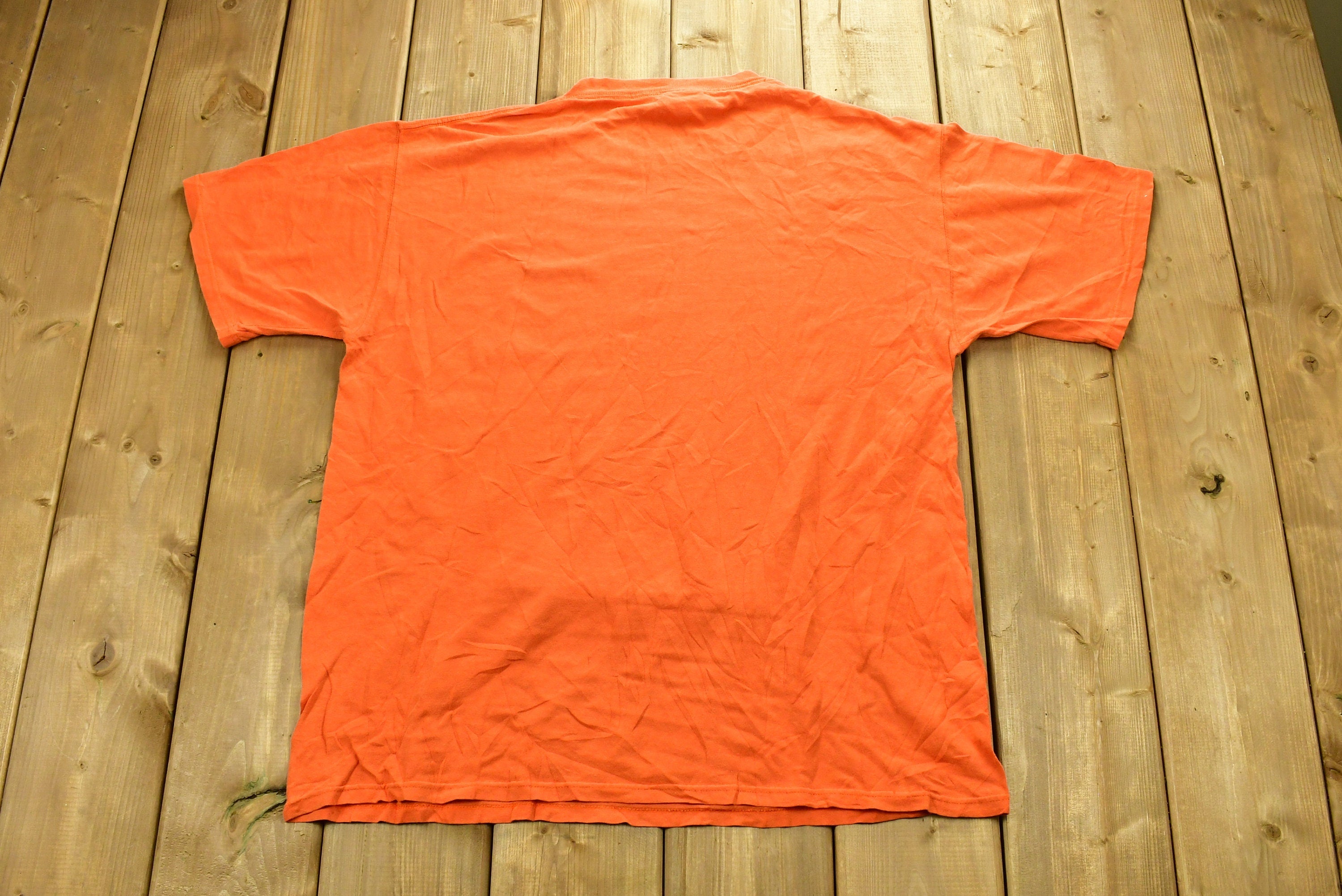 Vintage 1990s University of Illinois Fighting Illini Collegiate T-Shirt