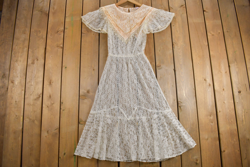 Vintage 1970s Sheer Lace Princess Dress